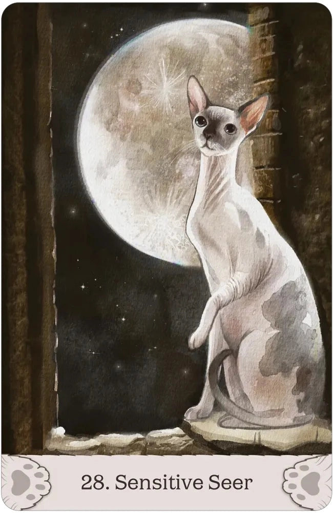 Cat Mythos & Magick Oracle Deck
