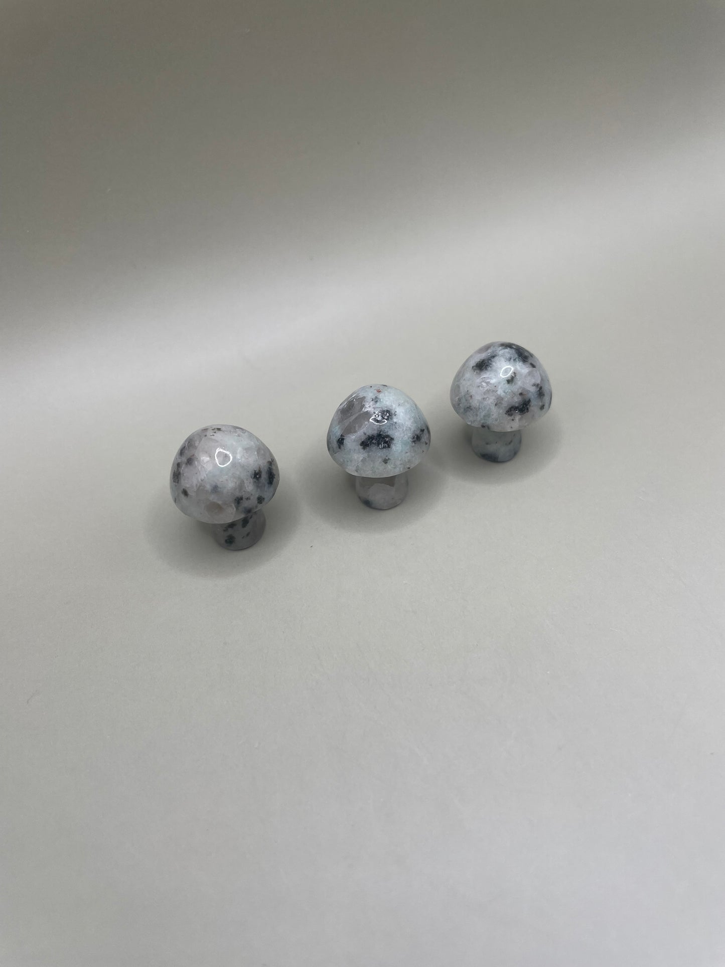 Witching Hour Treasures: Kiwi Jasper Mini Mushroom