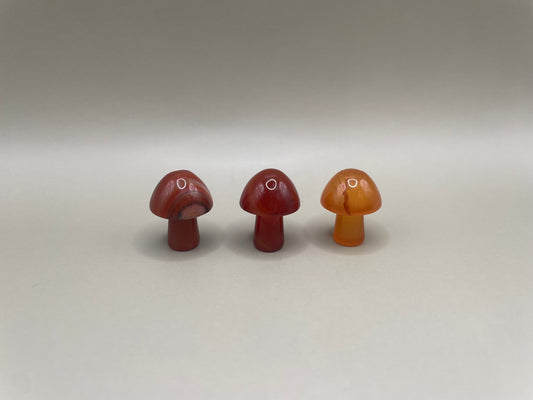 Witching Hour Treasures: Carnelian Mini Mushroom