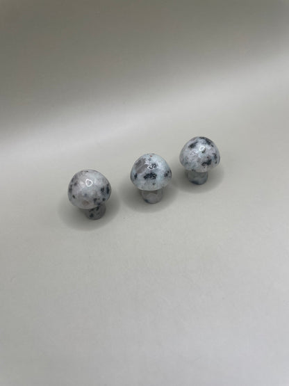 Witching Hour Treasures: Kiwi Jasper Mini Mushroom