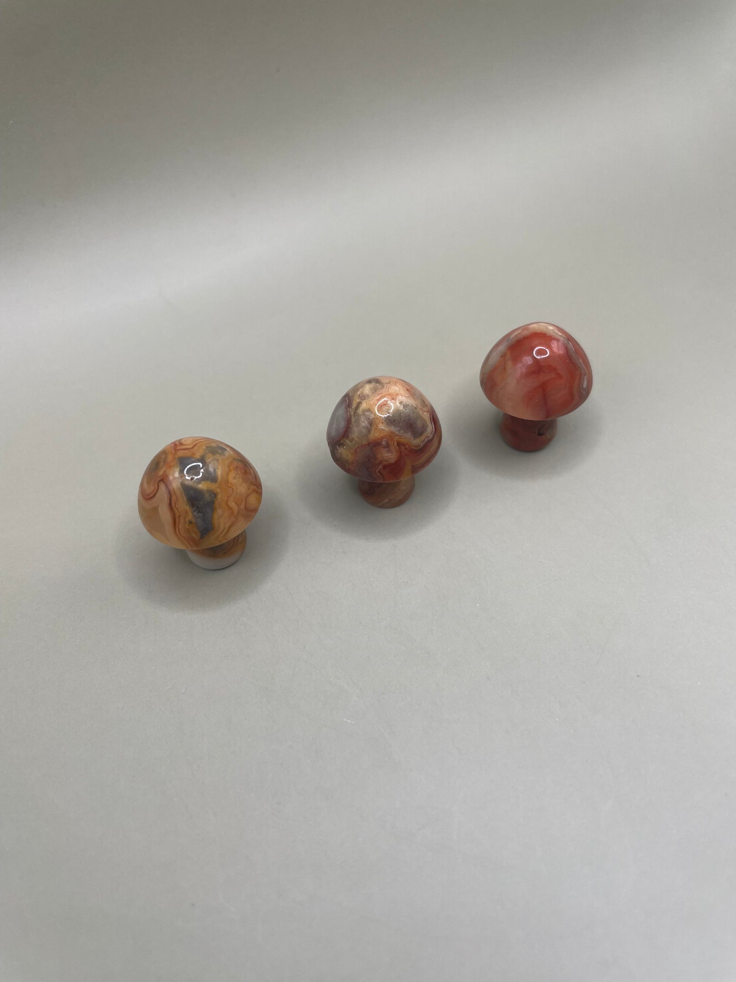 Witching Hour Treasures: Crazy Lace Agate Mini Mushroom