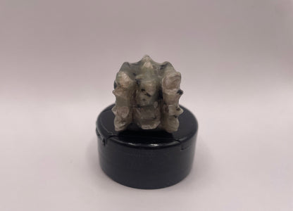 Witching Hour Treasures: Labradorite Dragon Skull no. 1