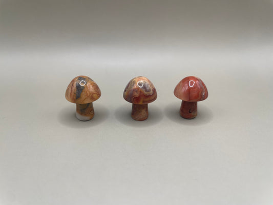 Witching Hour Treasures: Crazy Lace Agate Mini Mushroom